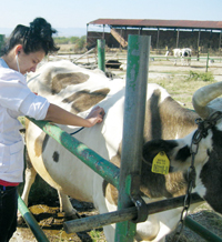 Хоризонтите пред земеделските училища