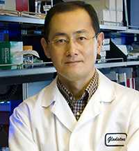 Господарят на стволовите клетки