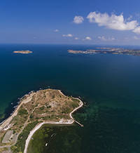 Тайните на Хрисосотира