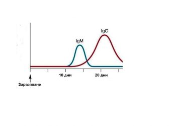 Нужни са повече изследвания за новия коронавирус