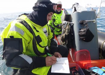 Как се развива изпълнението на отделните проекти