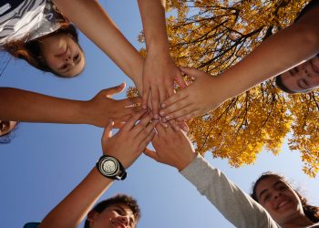 Между математиката  и кулинарните изкушения