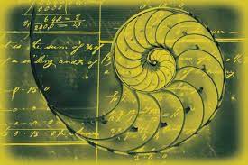 Online Contest “Mathematics and Art” for the Development of Key Competencies