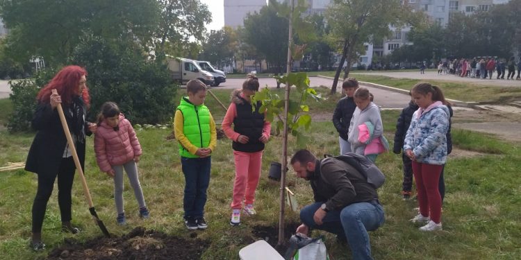 Засаждат над 600 дървета в училищни дворове