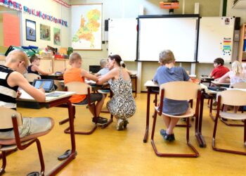 stem learning model
