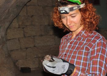 Прилепите са ни добри съседи