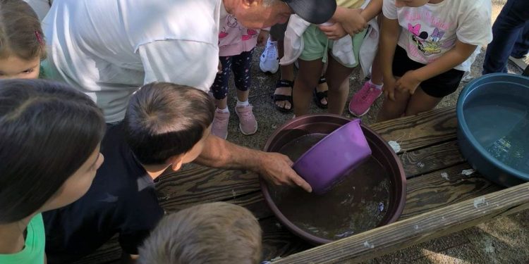 Златотърсачи за ден