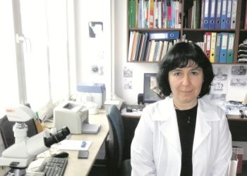 Учени създадоха бактериален препарат с пестицидно действие