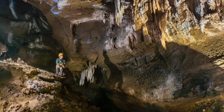 Доц. д-р Димитър Желев: Науката е динамична и постоянно има открития