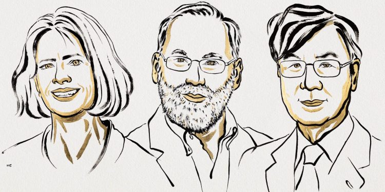 Разгадани тайни на имунната система донесоха Нобел за медицина на трима учени