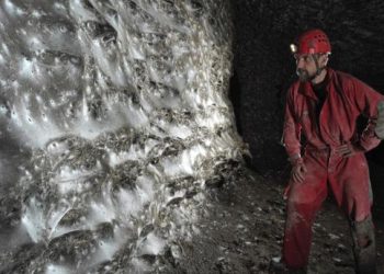 Откриха в пещера претендент за най-голяма паяжина