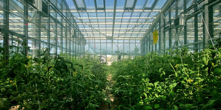 Учени от седем държави ще работят по проект на Центъра по растителна системна биология и биотехнология в Пловдив, подкрепен по програмата „Мария Склодовска-Кюри“